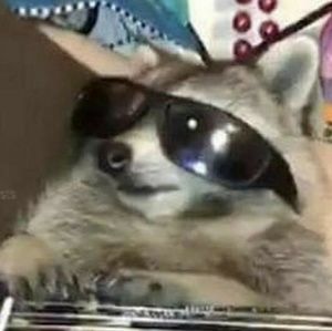 Meet your Posher, Jinx